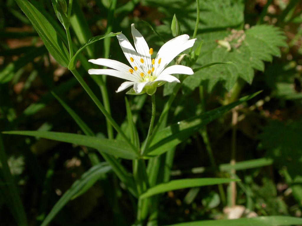 dscn0209