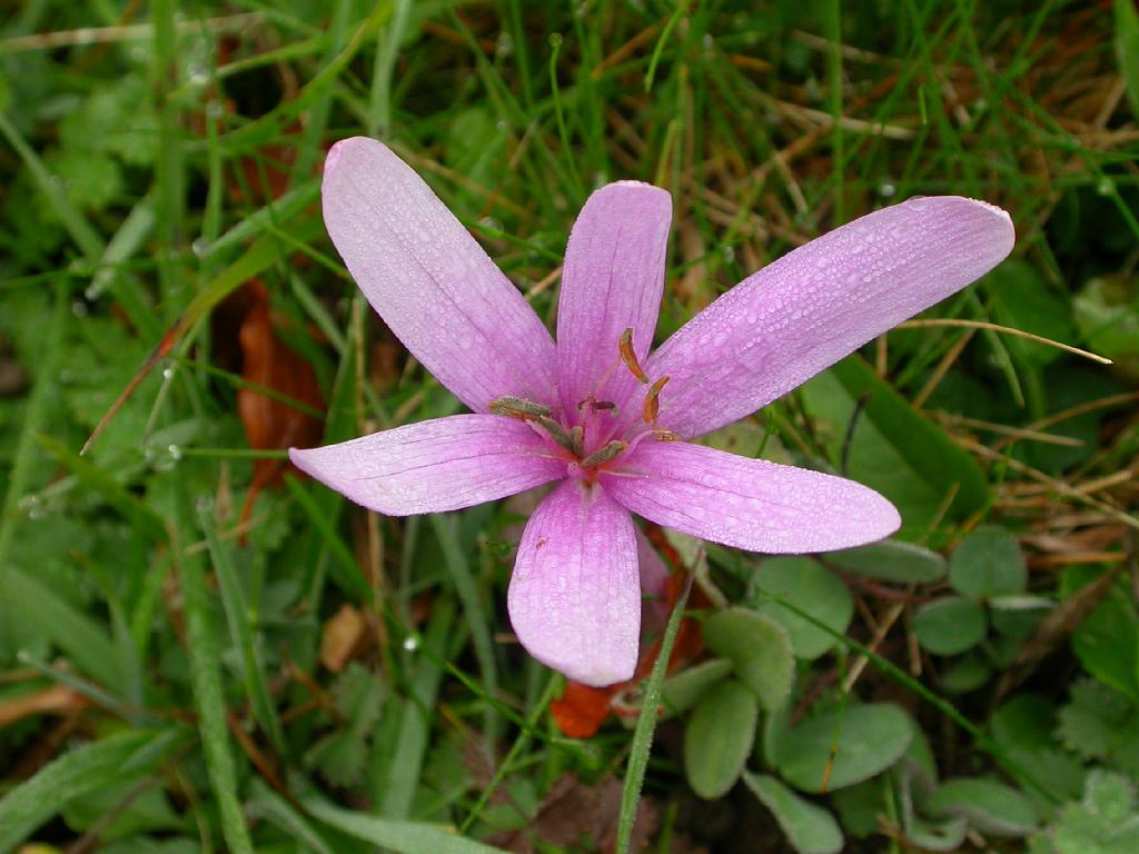 dscn1482
