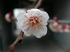 dscn0022