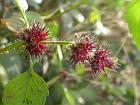 dscn1475