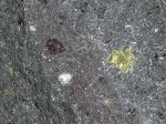 DSCN1219.jpg