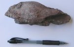 DSCN1221.jpg