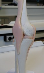 DSCN6080.jpg