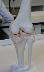 DSCN6081.jpg