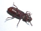 DSCN4217.jpg