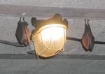 DSCN4112.jpg
