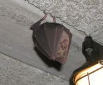 DSCN4121.jpg