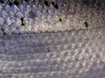 DSCN1063.jpg